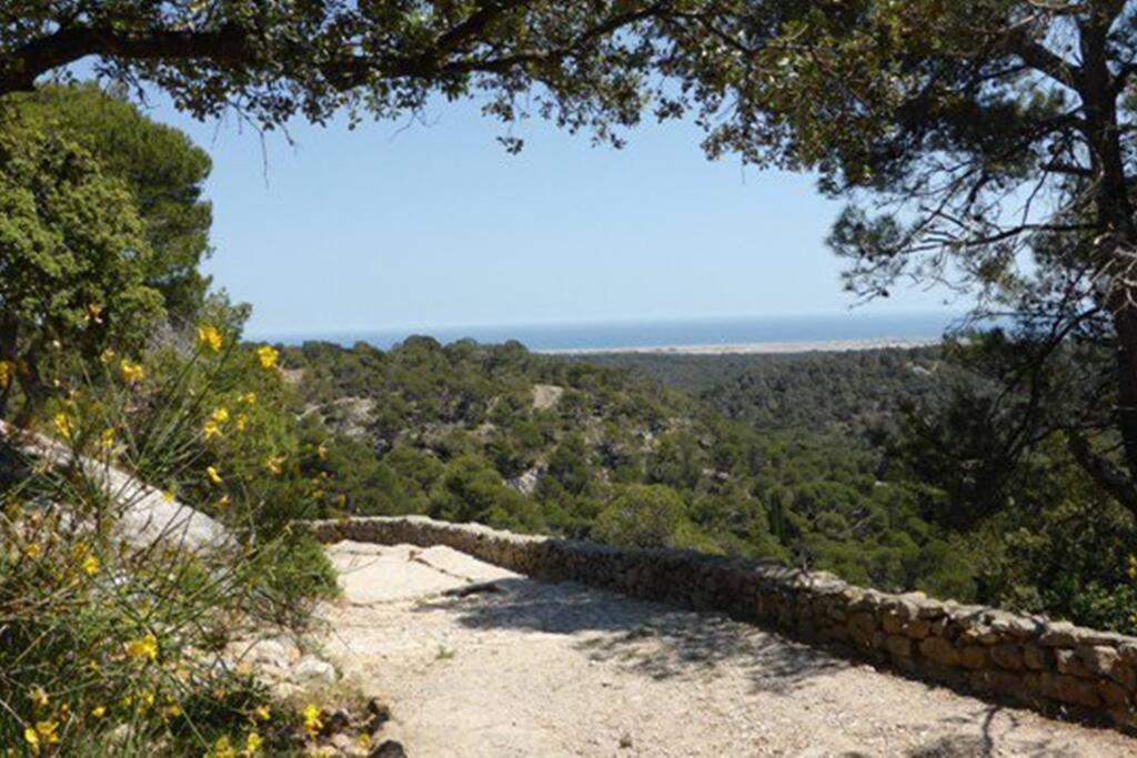 Entre Mer Et Garrigue Saint-Pierre-la-Mer  Exterior foto
