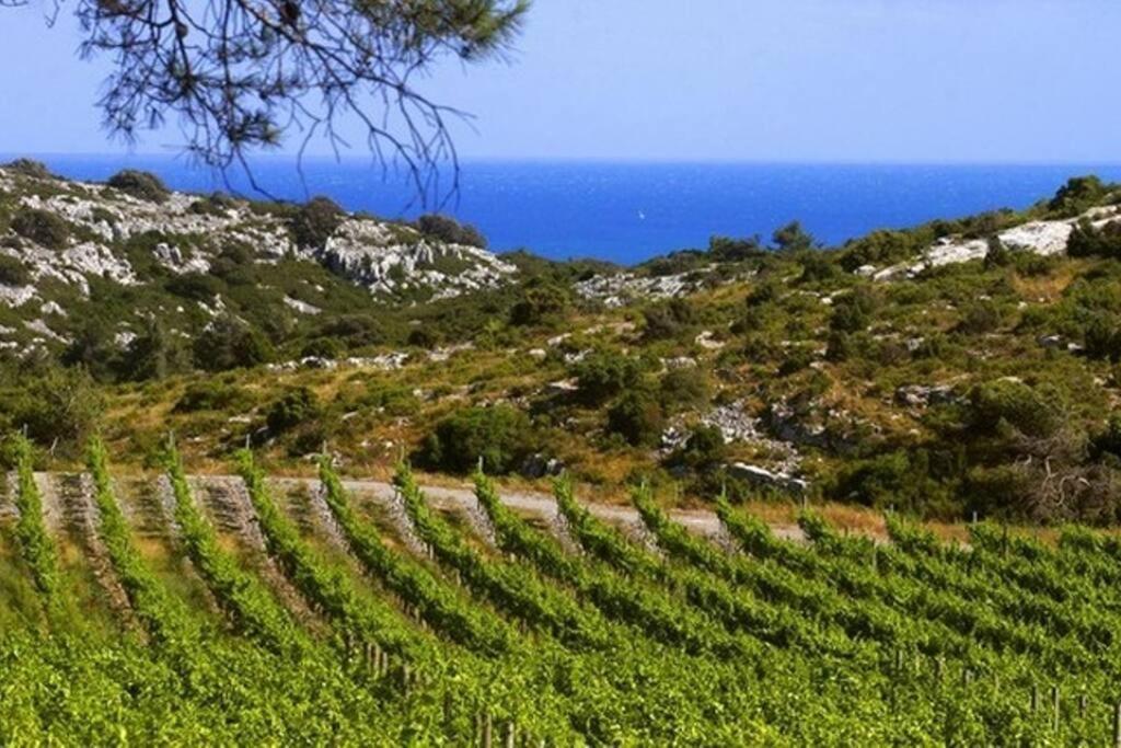 Entre Mer Et Garrigue Saint-Pierre-la-Mer  Exterior foto